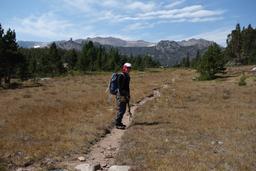 Bob and stanley in the meadow [sat sep 4 13:07:59 mdt 2021]